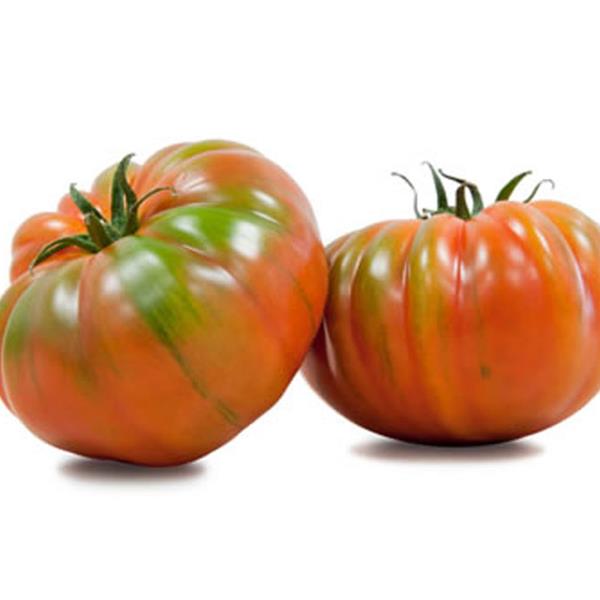 Tomate Raf